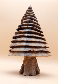 Preview: „Mammutbaum“